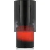 Trussardi Primo Eau de Parfum 100 ml