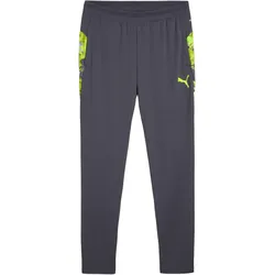 Puma individualCUP Training Pants - grau L