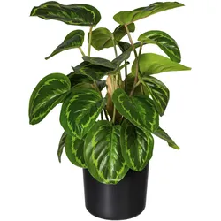 Künstliche Zimmerpflanze CREATIV GREEN "Maranta", grün, H:45cm, Kunststoff, Kunstpflanzen