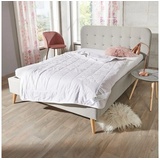 Traumschlaf Traumschlaf, Duvet, Kokon (1150 g, 240 x 220 cm