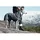 Hurtta Expedition Hundemantel grau 20