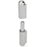 GANTER Scharnier 2-teilig 6 x 60, zum Anschweißen, Edelstahl 1.4401