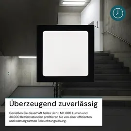 LUXULA 6W eckig schwarz