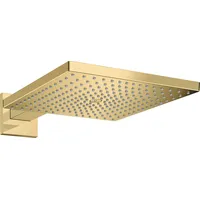Hansgrohe Raindance E 300 1jet Kopfbrause (26238990)