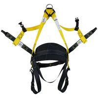 C.K Tools C.K T8009 Auffanggurt mit integriertem Gürtel