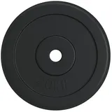 vidaXL Hantelscheibe 20 kg Gusseisen
