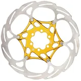 Formula 2-pieces 6b Bremsscheibe - Silver / Gold - 160 mm