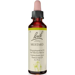 Bachblüte Mustard