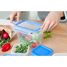 Emsa Frischhaltedose rechteckig blau 16,3 x 11,3 cm 1,5 l