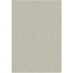 Kadima Design Hochflor-Teppich `Dovel` - Recyceltes Polyester - Nachhaltig & Weich. Farbe: Beige, 160x230 cm