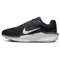 Nike Winflo 11 Women