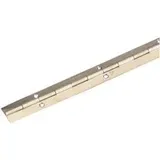 EDE Stangenscharnier B 20mm,L 900mm Stahl vermessingt