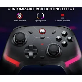 GameSir Cyclone 2 Controller Schwarz PC / Switch