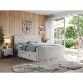 MKS boxspringbett KING VELEN 160/200 Hellgrau Velvet - H3