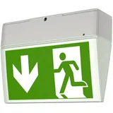 CEAG Notlichtsysteme Einzelbatterie-Leuchte LED 3h IP54 EURO X