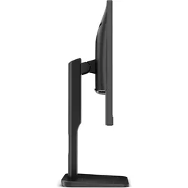 AOC X24P1 24"
