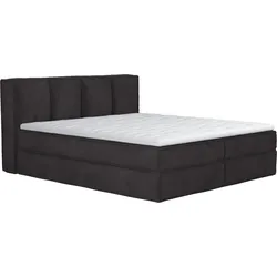 Boxspringbett HOME AFFAIRE "Sacy", schwarz, B:170cm L:230cm, 100% Polyester, Komplettbetten, Boxbett inkl. Topper, 2 Matratzen, Härtegrade H2, H3 und H4 wählbar