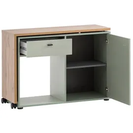 Proregal Schreibtisch Monkey Eiche / Pistazie