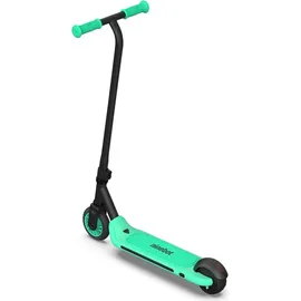 Segway-Ninebot Zing A6 schwarz/grün