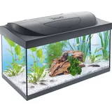 Tetra Starter Line 54 L Aquarium Komplett-Set - inkl. Tag- & Nachtlicht LED-Beleuchtung, Innenfilter, Heizer, Fischfutter und Wasseraufbereiter