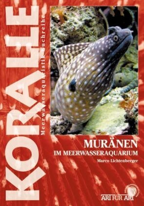 Muränen Im Meerwasseraquarium - Marco Lichtenberger  Kartoniert (TB)