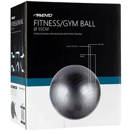 Avento Gymnastikball Silber 55 cm