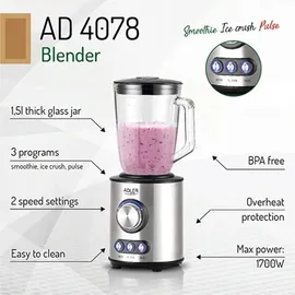 Adler AD 4078 Standmixer