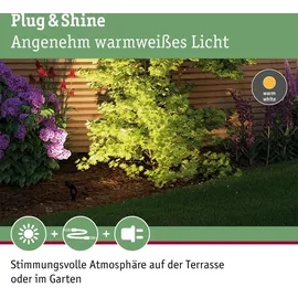 Paulmann Sting 3er Set 93696 