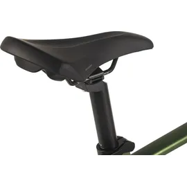 adore-bikes ATX-670 28 Zoll RH 53 cm Unisex grün