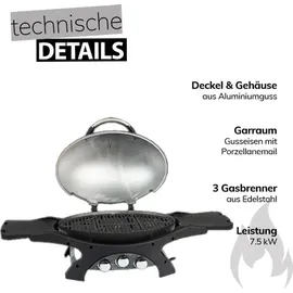 PIT BOSS Sportsman 3 grau