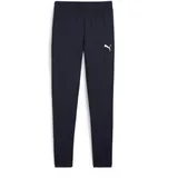 Puma teamGOAL Slim Trainingshose Kinder Blau/Weiß 152
