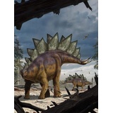 KOMAR Vlies Fototapete Stegosaurus 184 x 248 cm