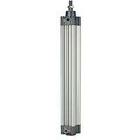 Riegler Normzylinder, doppeltwirk., Magnet, Kolben- Ø125, Hub 250, G