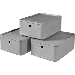 Curver - 3-er Set BETON Box M mit Deckel hellgrau   hellgrau