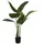 Europalms Strelitzie, Kunstpflanze, 110cm
