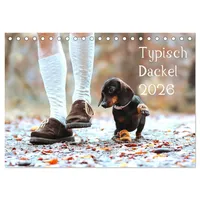 Calvendo Typisch Dackel 2026 (Tischkalender 2026 DIN A5 quer),