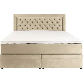 Home Affaire Boxspringbett HOME AFFAIRE "Julien", beige (cream), B:161cm L:210cm, 100% Polyester, Komplettbetten, Boxspringbett, mit Taschenfederkernmatratze