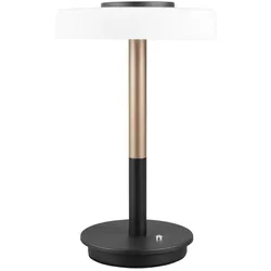 Trio Leuchten Tischleuchte CELESTE - D/H ca. 22,00x35,00