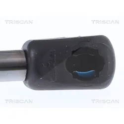 Triscan Gasfeder, Koffer-/Laderaum [Hersteller-Nr. 871011248] für BMW