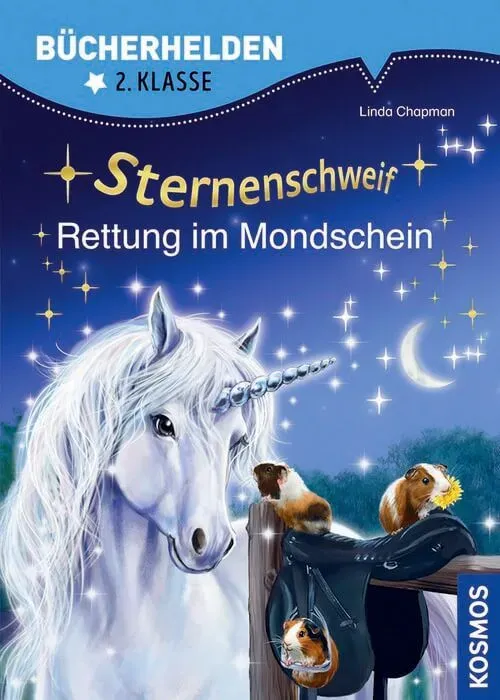 Rettung im Mondschein - Sternenschweif (Bücherhelden 2. Klasse)