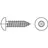 TOOLCRAFT Sicherheitsschrauben 3,5 mm 32 mm 100 Stück