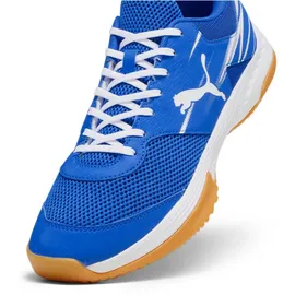 Puma Varion II Herren Puma Team Royal-Puma White-Gum 46,5