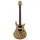 PRS LTD SE Exotic Custom 24 Swamp Ash Burl NA - E-Gitarre