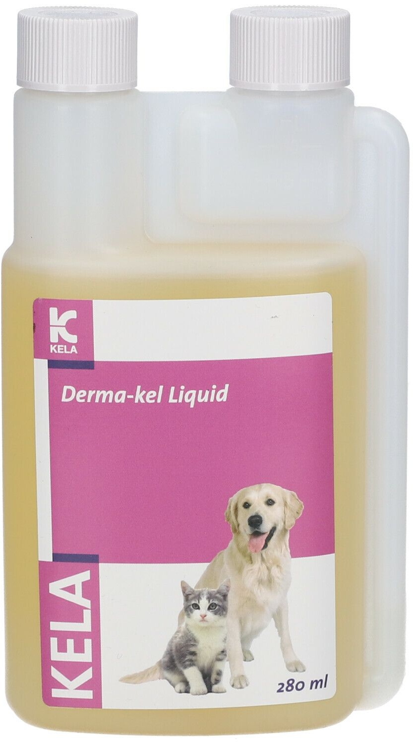 Derma-Kel Liquid 280 ml liquide