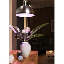Bio Green Florabooster 500 Pflanzenleuchte