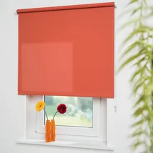 LIEDECO Seitenzugrollo Uni 62 x 180 cm terrakotta