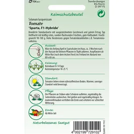 Samen Pfann Tomate Sparta F1 | Tomatensamen von Samen Pfann