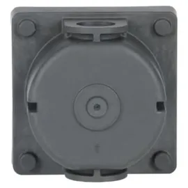Busch-Jaeger Schuko-Steckdose 20 EFDB2 Grau 1 St.
