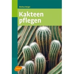 Kakteen pflegen