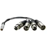 ATOMOS XLR Breakout Kabel in/out